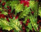 Christmas Wallpapers 233